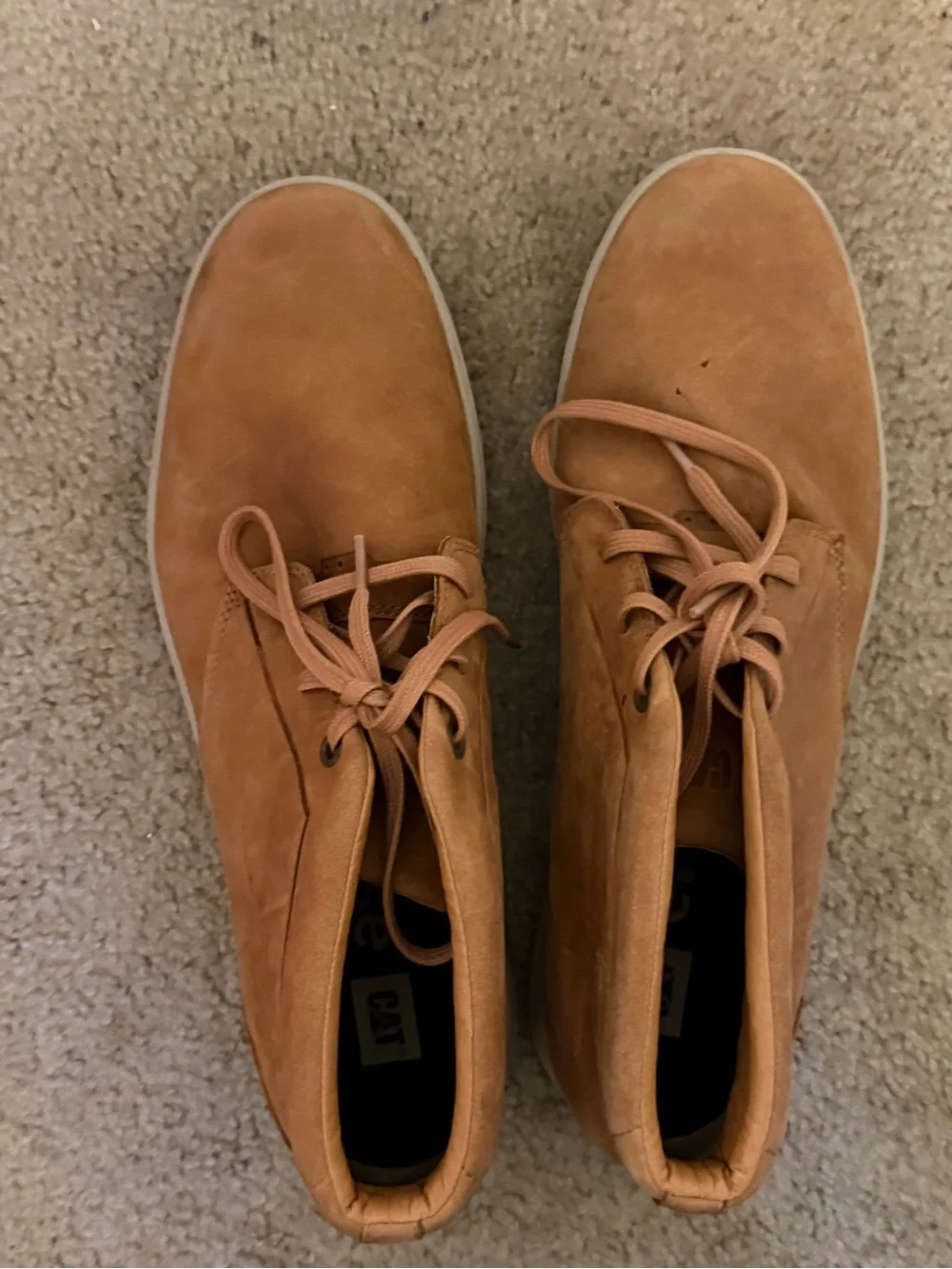 Cat-Theorem Boots for Men, Ginger, 10 US - P722369
